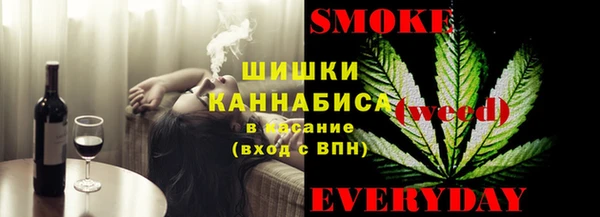 дмт Переславль-Залесский