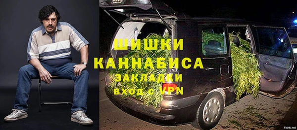 стаф Алзамай