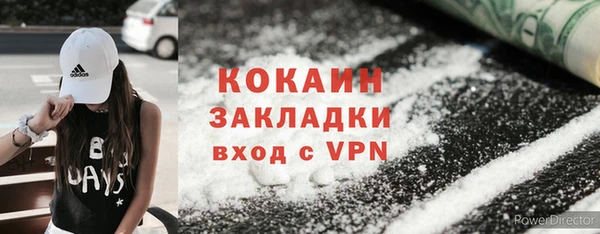 стаф Алзамай