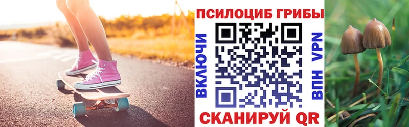 Псилоцибиновые грибы Psilocybine cubensis  Осинники 